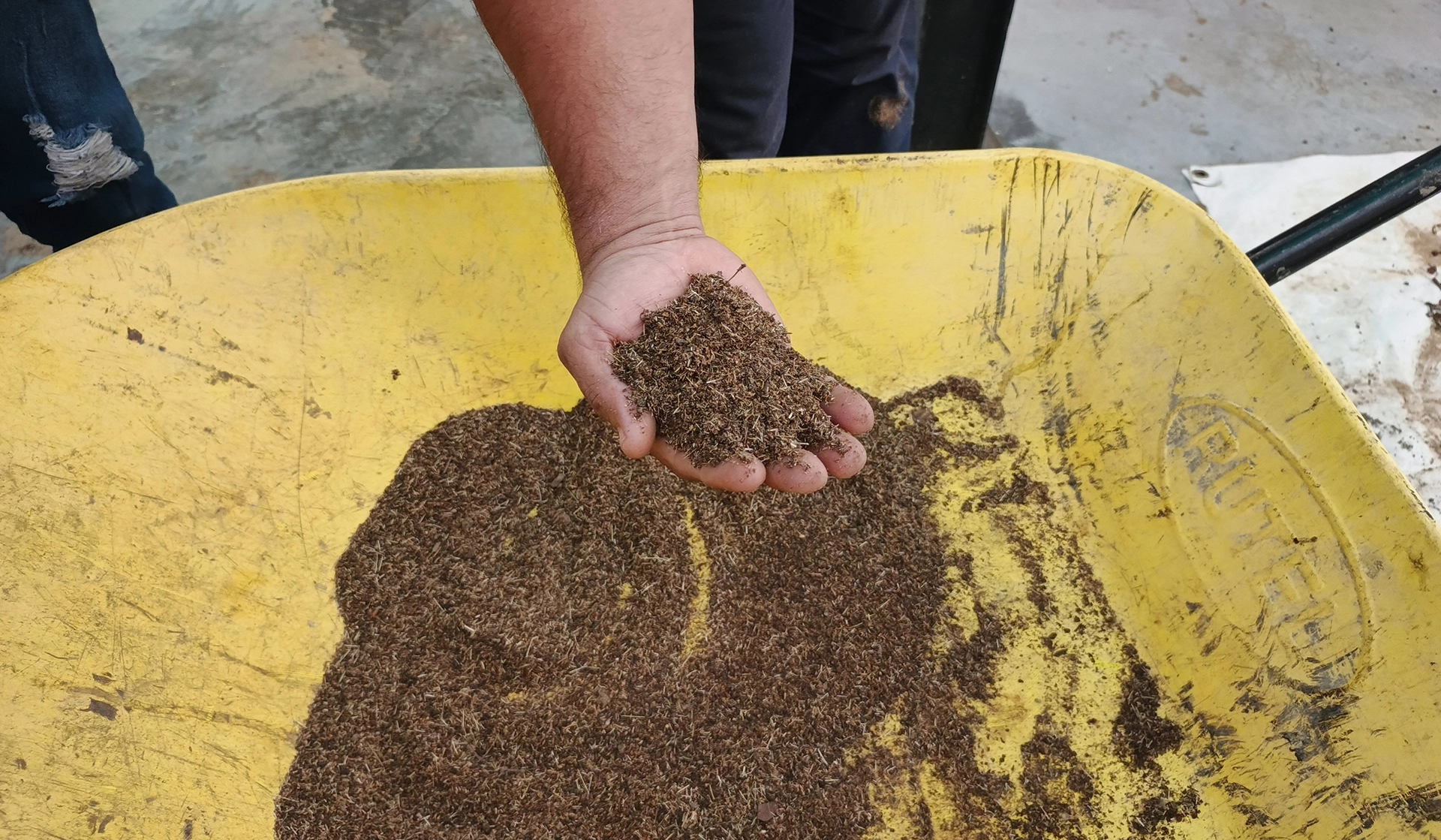 Investigadores de la Fundación INZIT promueven uso de abono tipo Bokashi en cultivos del estado Zulia
