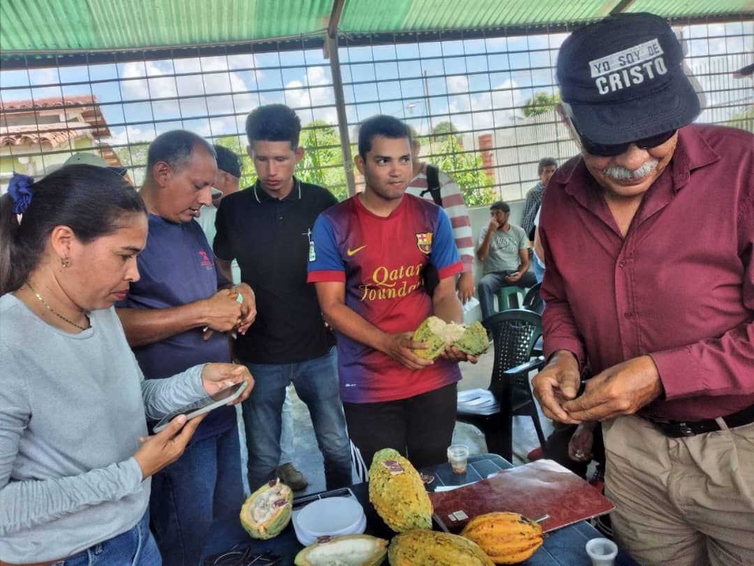 ACAV fortalece capacidades en mejoramiento genético del cacao en Alberto Arvelo Torrealba