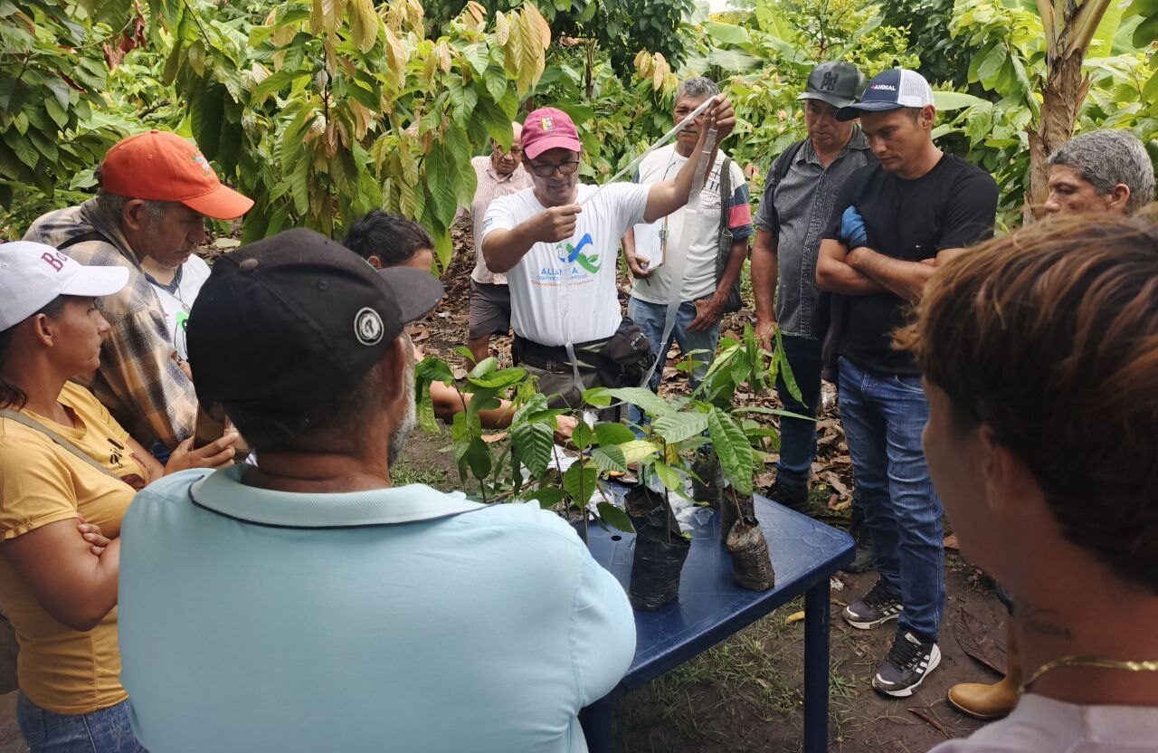 ACAV fortaleció el mejoramiento genético del cacao en el estado Barinas