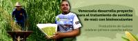 Venezuela_desarrolla_proyecto_para_el_tratamiento_de_semillas_de